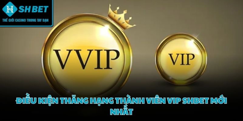 Tiến trình trở thành Thành viên VIP SHBET đòi hỏi sự kiên trì và chiến thuật