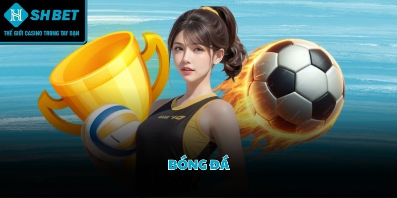 Các trận đấu bóng đá luôn sôi động với sự góp mặt của hàng trăm giải đấu lớn